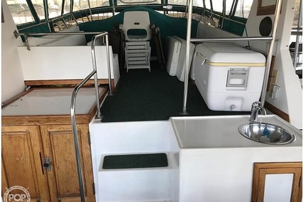 Trader 38 Tradewinds Sundeck