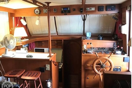 Trader 38 Tradewinds Sundeck