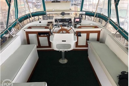 Trader 38 Tradewinds Sundeck