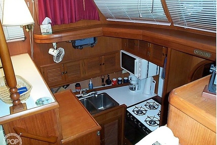 Trader 38 Tradewinds Sundeck