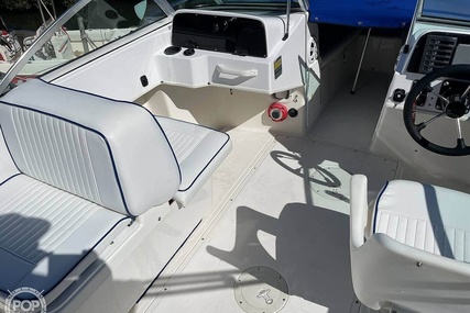 Boston Whaler 20 Dauntless