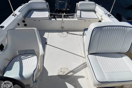 Boston Whaler 20 Dauntless