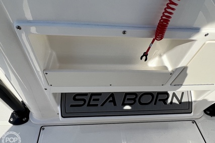 Sea Born FX25 Bay LE