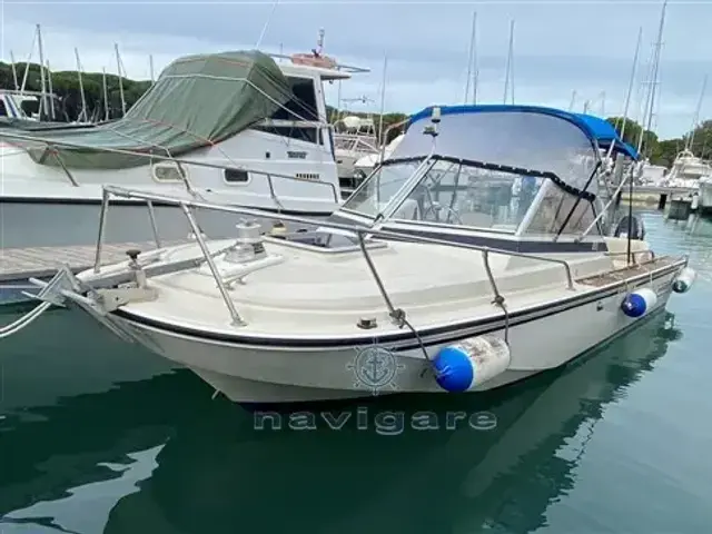 Boston Whaler 20 Revenge