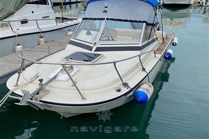 Boston Whaler 20 Revenge