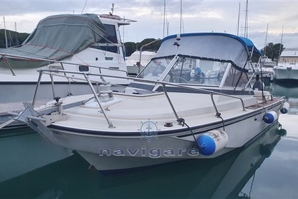 Boston Whaler 20 Revenge