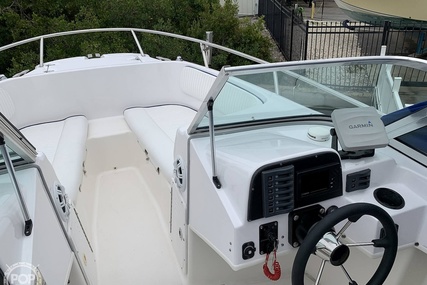 Boston Whaler 20 Dauntless