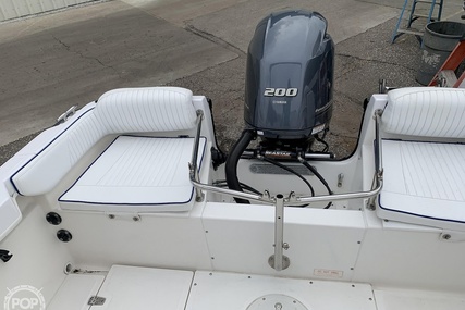 Boston Whaler 20 Dauntless