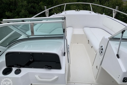 Boston Whaler 20 Dauntless