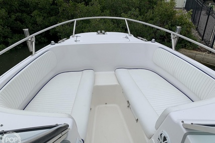 Boston Whaler 20 Dauntless