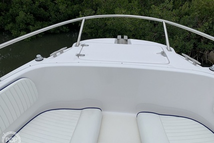 Boston Whaler 20 Dauntless