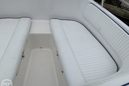 Boston Whaler 20 Dauntless