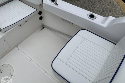 Boston Whaler 20 Dauntless