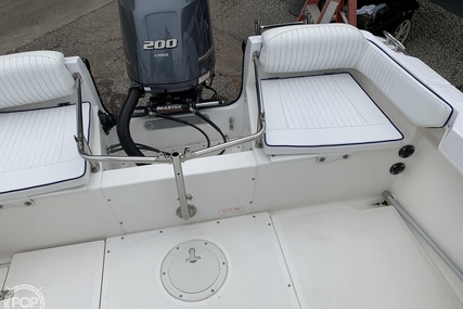 Boston Whaler 20 Dauntless