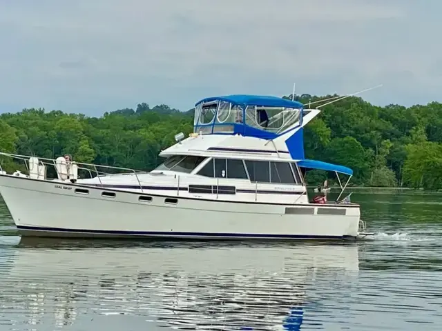 Bayliner 3818