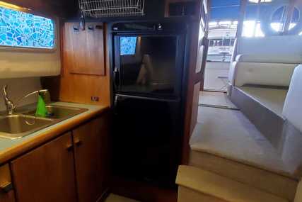 Bayliner 3818