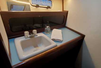 Bayliner 3818