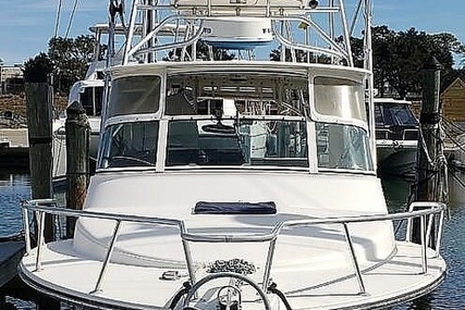 Henriques 28 Sportfisher