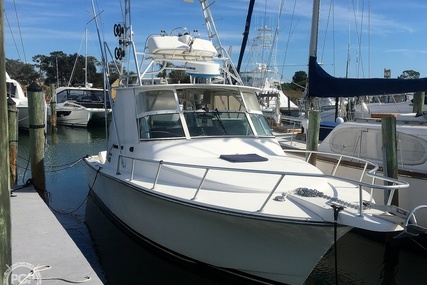 Henriques 28 Sportfisher