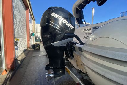 Stingher 800GT RIB