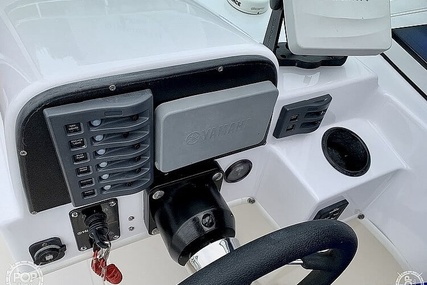 Boston Whaler 20 Dauntless