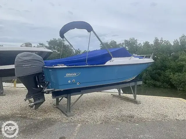 Boston Whaler 20 Dauntless