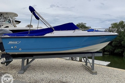 Boston Whaler 20 Dauntless