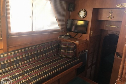 Trader 38 Tradewinds Sundeck