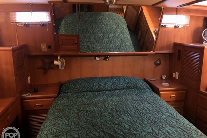 Trader 38 Tradewinds Sundeck