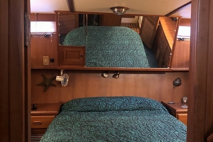 Trader 38 Tradewinds Sundeck