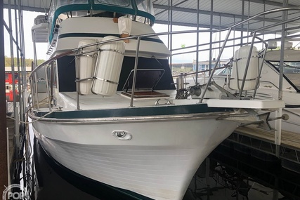 Trader 38 Tradewinds Sundeck