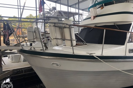 Trader 38 Tradewinds Sundeck