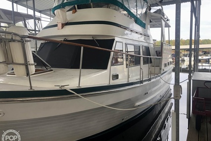 Trader 38 Tradewinds Sundeck