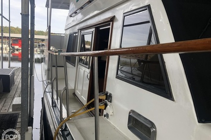 Trader 38 Tradewinds Sundeck