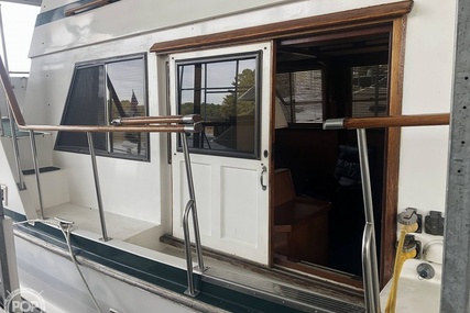 Trader 38 Tradewinds Sundeck