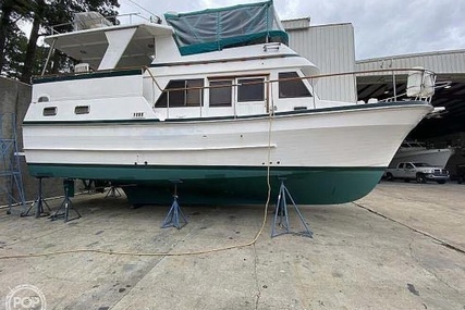 Trader 38 Tradewinds Sundeck