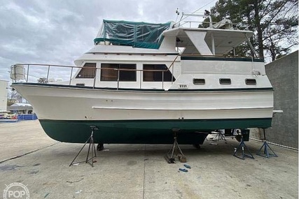 Trader 38 Tradewinds Sundeck