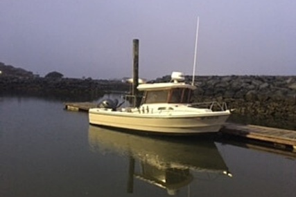 Arima Sea Ranger 19 Hardtop Pilothouse