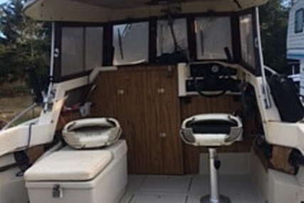 Arima Sea Ranger 19 Hardtop Pilothouse