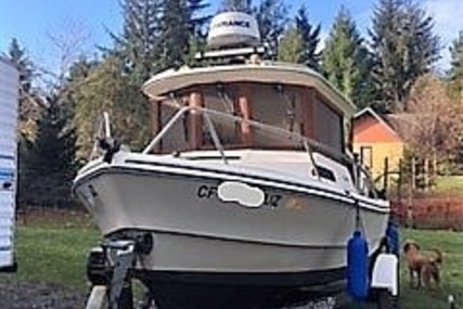 Arima Sea Ranger 19 Hardtop Pilothouse