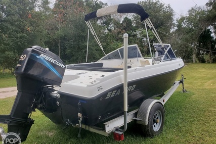 Sea Pro 195 fish and ski