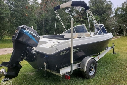 Sea Pro 195 fish and ski