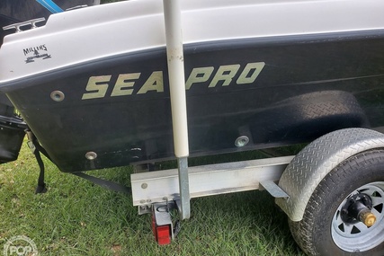 Sea Pro 195 fish and ski