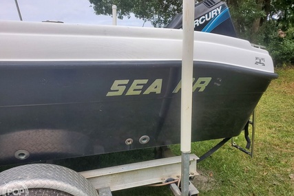 Sea Pro 195 fish and ski