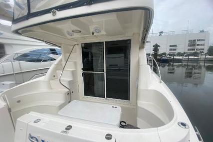 Sea Ray 390 Sedan Bridge