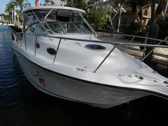 Seaswirl Striper 2901 Walkaround O/B