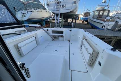 Arvor 730 Pilothouse