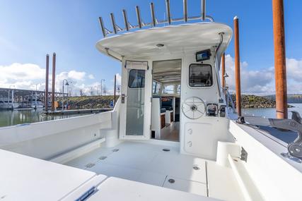 Ocean Sport 26 Legacy