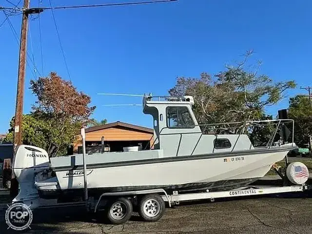 Boston Whaler 2200 Temptation