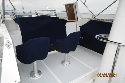 Symbol "45" Pilothouse